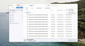 easeus data recovery filtering by file type