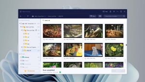 easeus data recovery wizard preview found deleted files