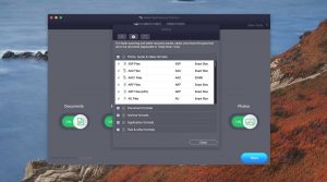 stellar data recovery file types option