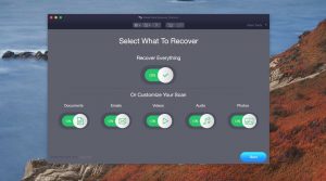 stellar data recovery file types settings