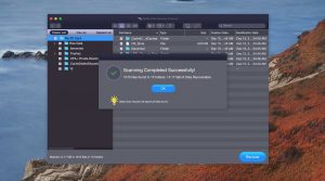 stellar data recovery found-files window