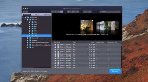 stellar data recovery preview capabilities