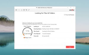 stellar data recovery looking for files and folders