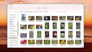 photorec view recovered files in explorer