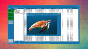 getdataback pro preview files