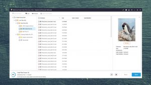minitool preview recovered files