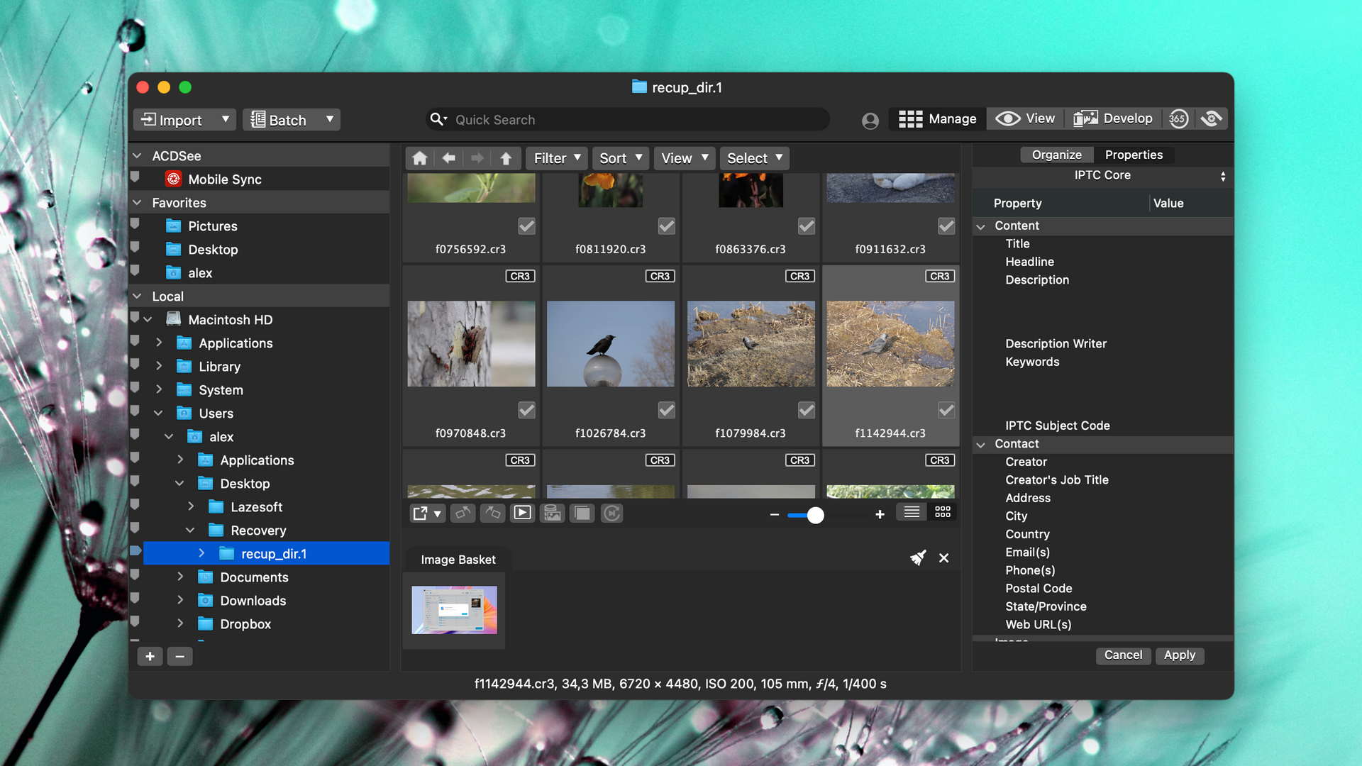 PhotoRec For Mac Review Capable But Difficult To Use 2025 