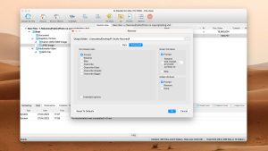 r-studio mac advanced recover options