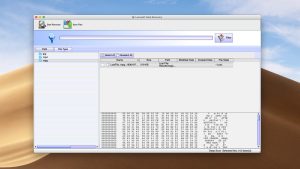lazesoft data recovery hex view