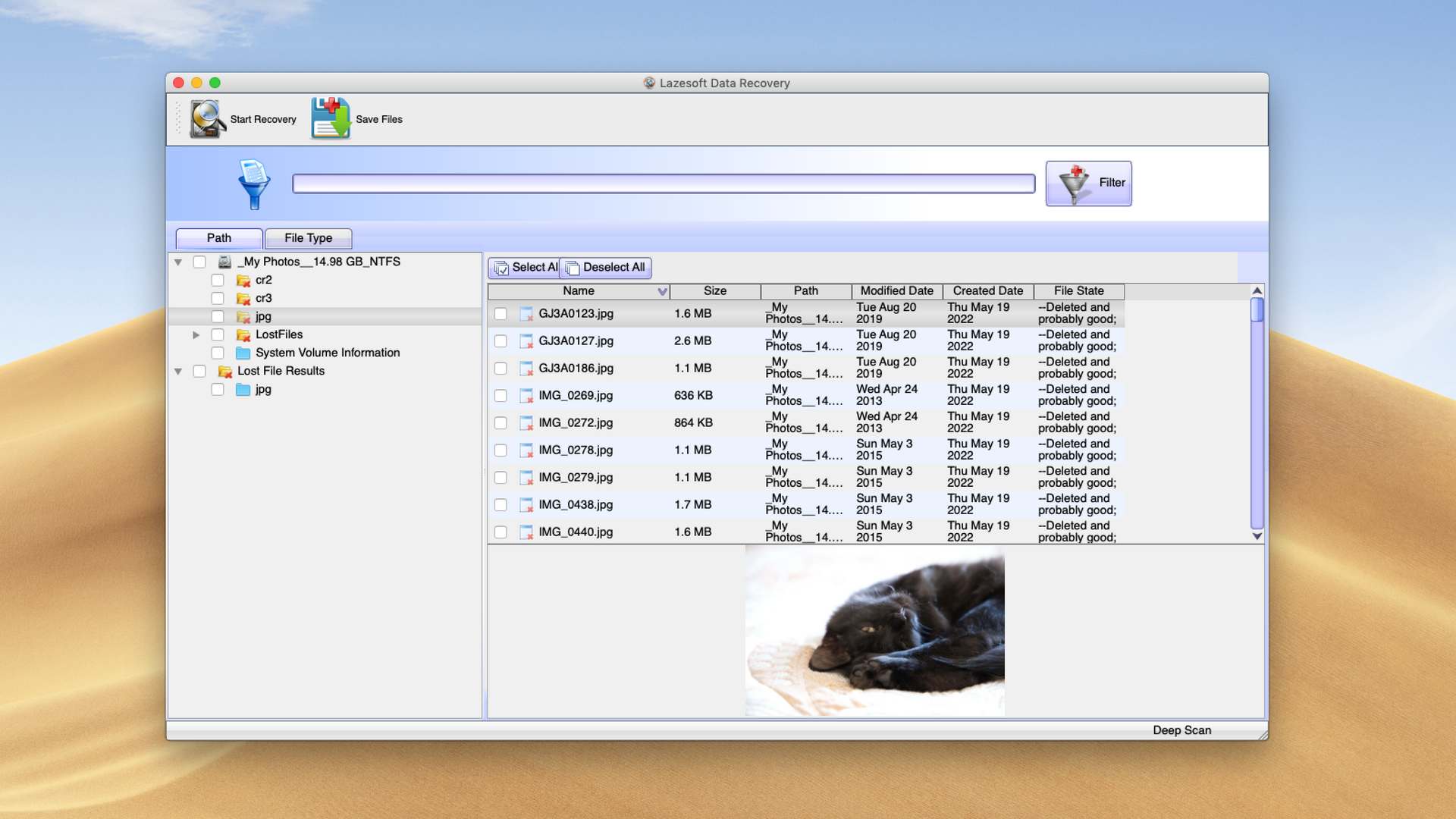 lazesoft data recovery preview files