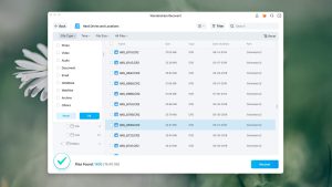 wondershare recoverit file type filter macos