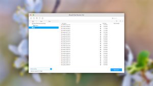 iboysoft data recovery mac list view