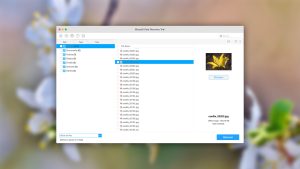 iboysoft data recovery mac preview found files