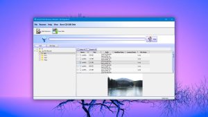 lazesoft data recovery preview found files