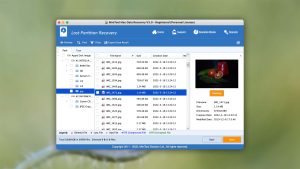 minitool mac data recovery preview found files
