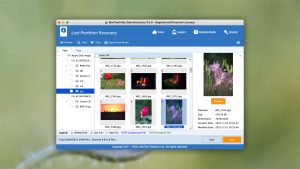 minitool mac data recovery thumbnail view mode