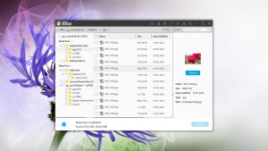 remo recover preview found files