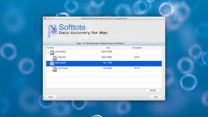 softtote file recovery disk list