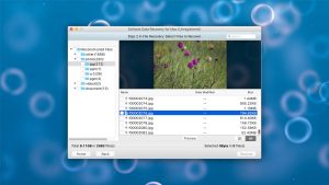 softtote file recovery preview found files