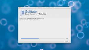 softtote file recovery scanning for lost files