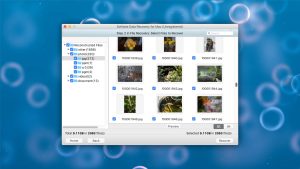 softtote file recovery thumbnail view mode
