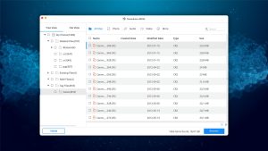 tenorshare 4ddig mac data recovery list view mode
