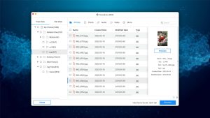 tenorshare 4ddig mac data recovery preview found files