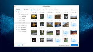 tenorshare 4ddig mac data recovery thumbnail view mode