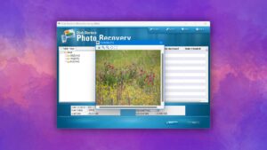 disk doctors photo recovery preview deleted files