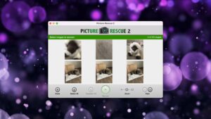 picture rescue preview deleted photos