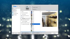 data recovery guru preview found files