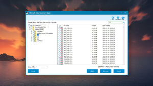 iboysoft data recovery view found files