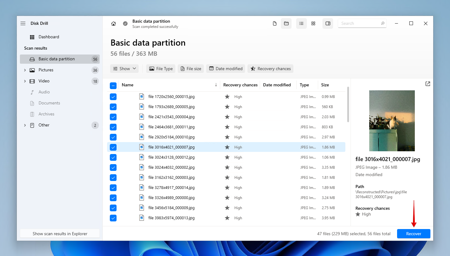 Selecting the RAW partition data for recovery.
