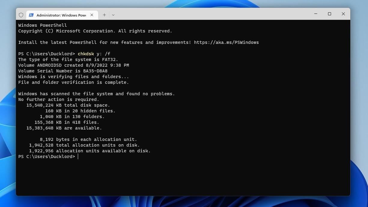 Windows Terminal CHKDSK F Results