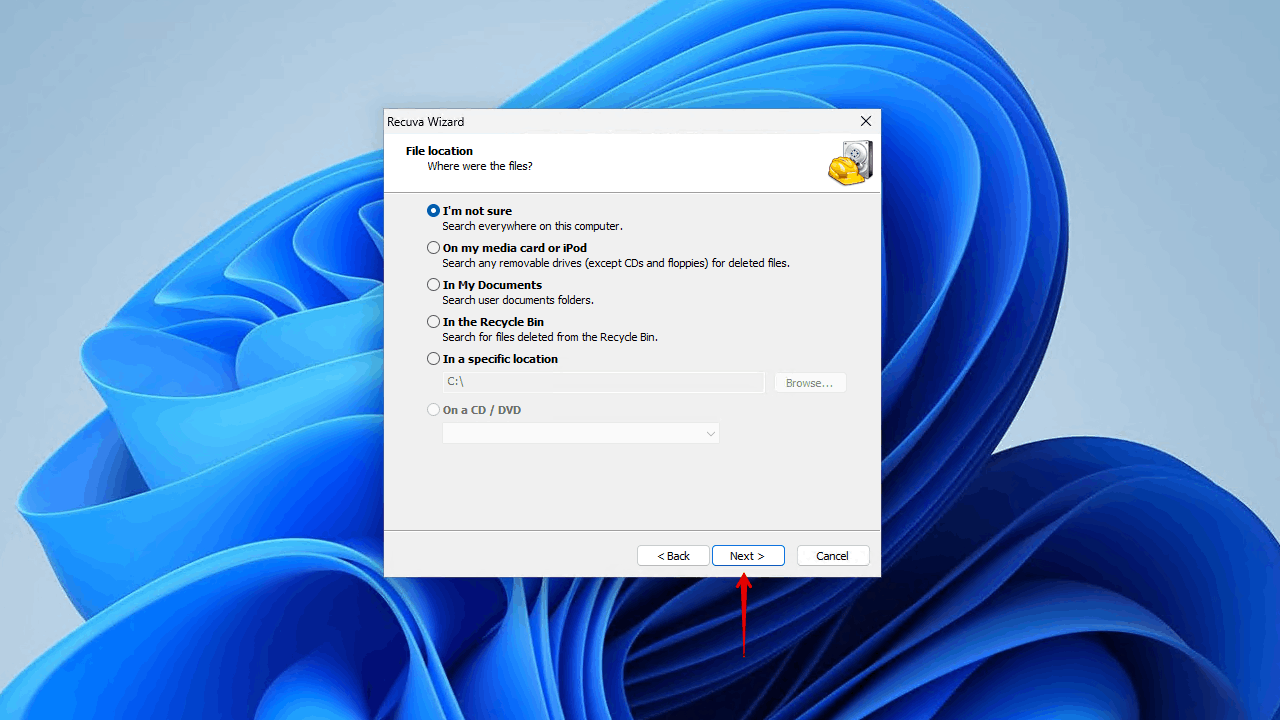 Choosing to scan the entire disk.