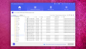 anyrecover data recovery file type view mode