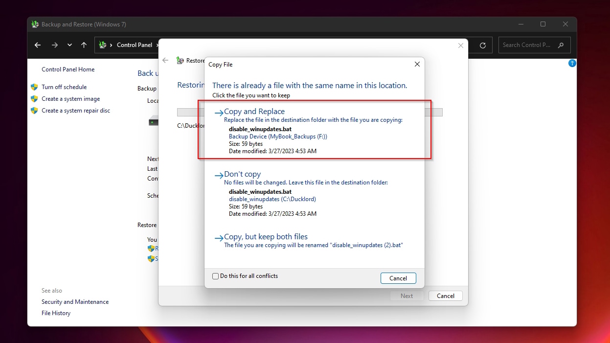 Control Panel Backup And Restore Windows 7 Selecting How To Deal With Overlapping Data