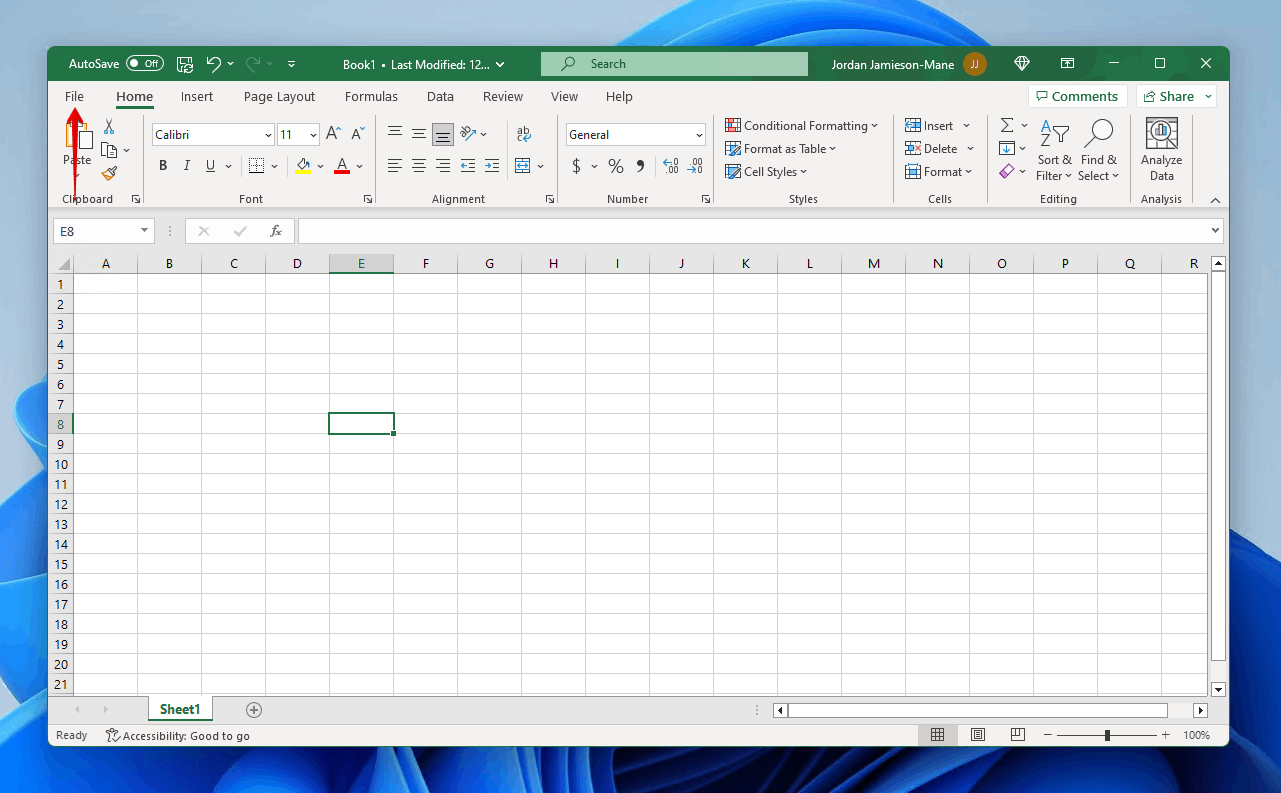 Clicking File in Excel.