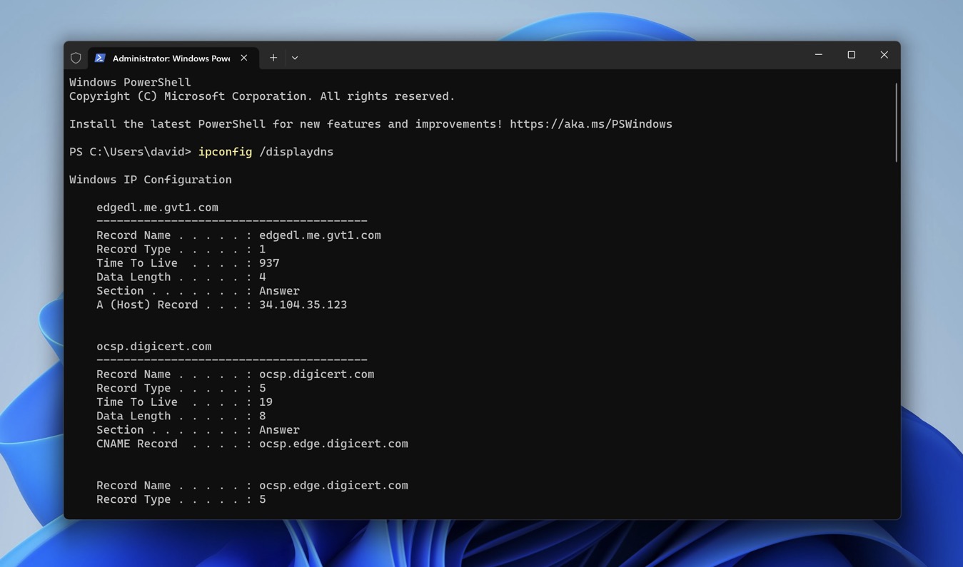 windows terminal ipconfig