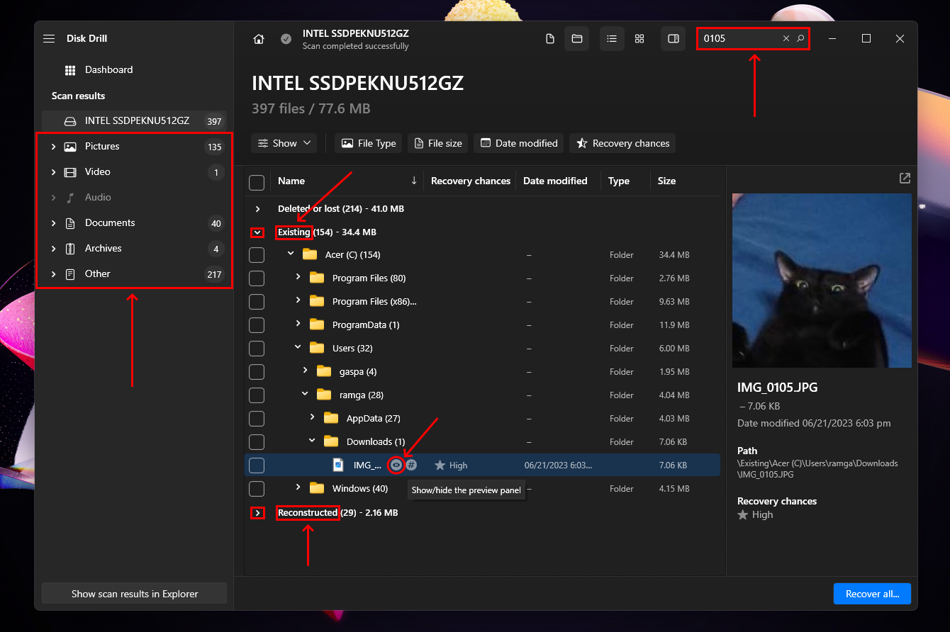 Preview window in Disk Drill