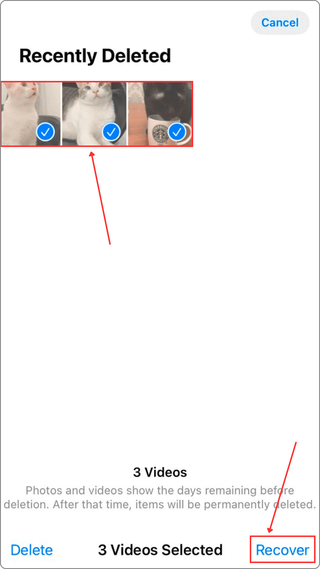 Recovery of recently deleted video selection in Photos