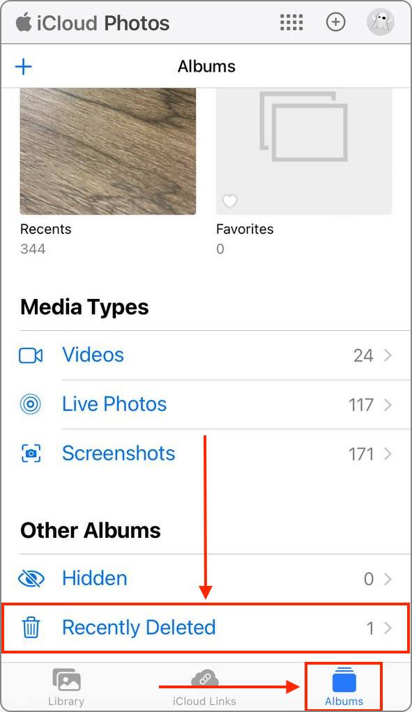 Recently deleted album in iCloud web