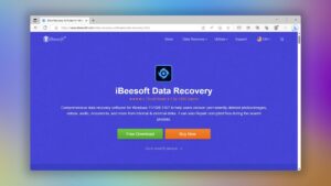 ibeesoft data recovery download