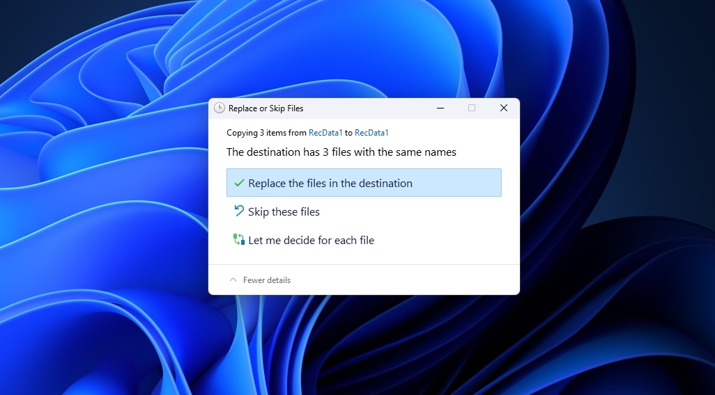 File History Replace or Skip Files Prompt