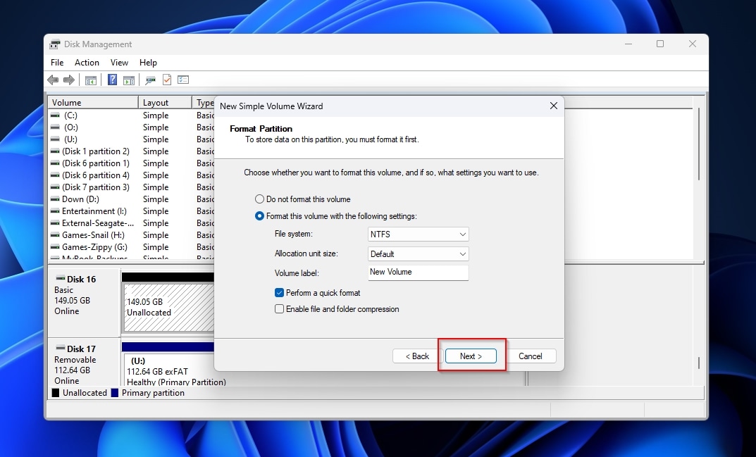 New Simple Volume Wizard Format Properties