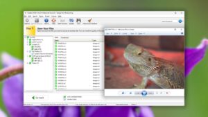 filerecovery 2022 professional preview found files