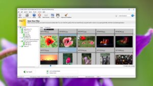filerecovery 2022 professional thumbnails view