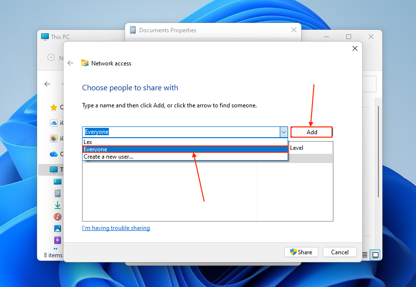 Adding Everyone in the Network access menu for the Documents folder